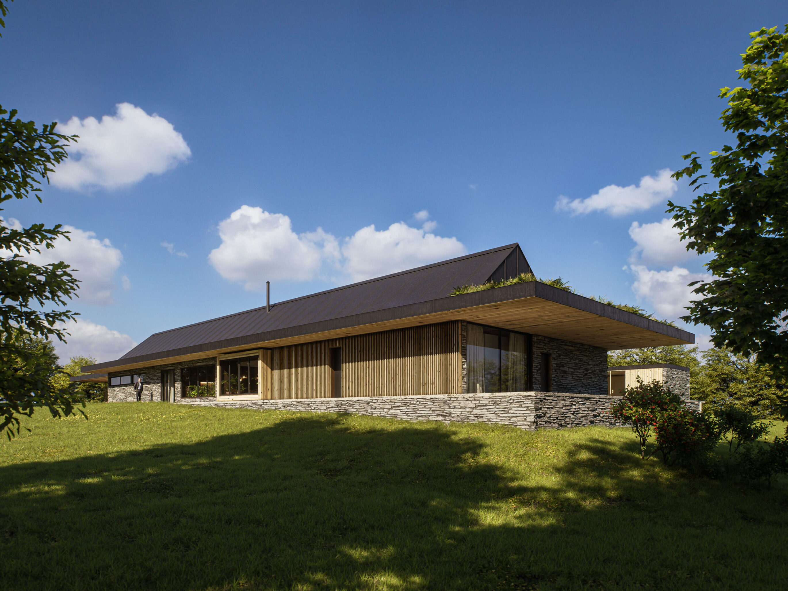 House with a Pier project view