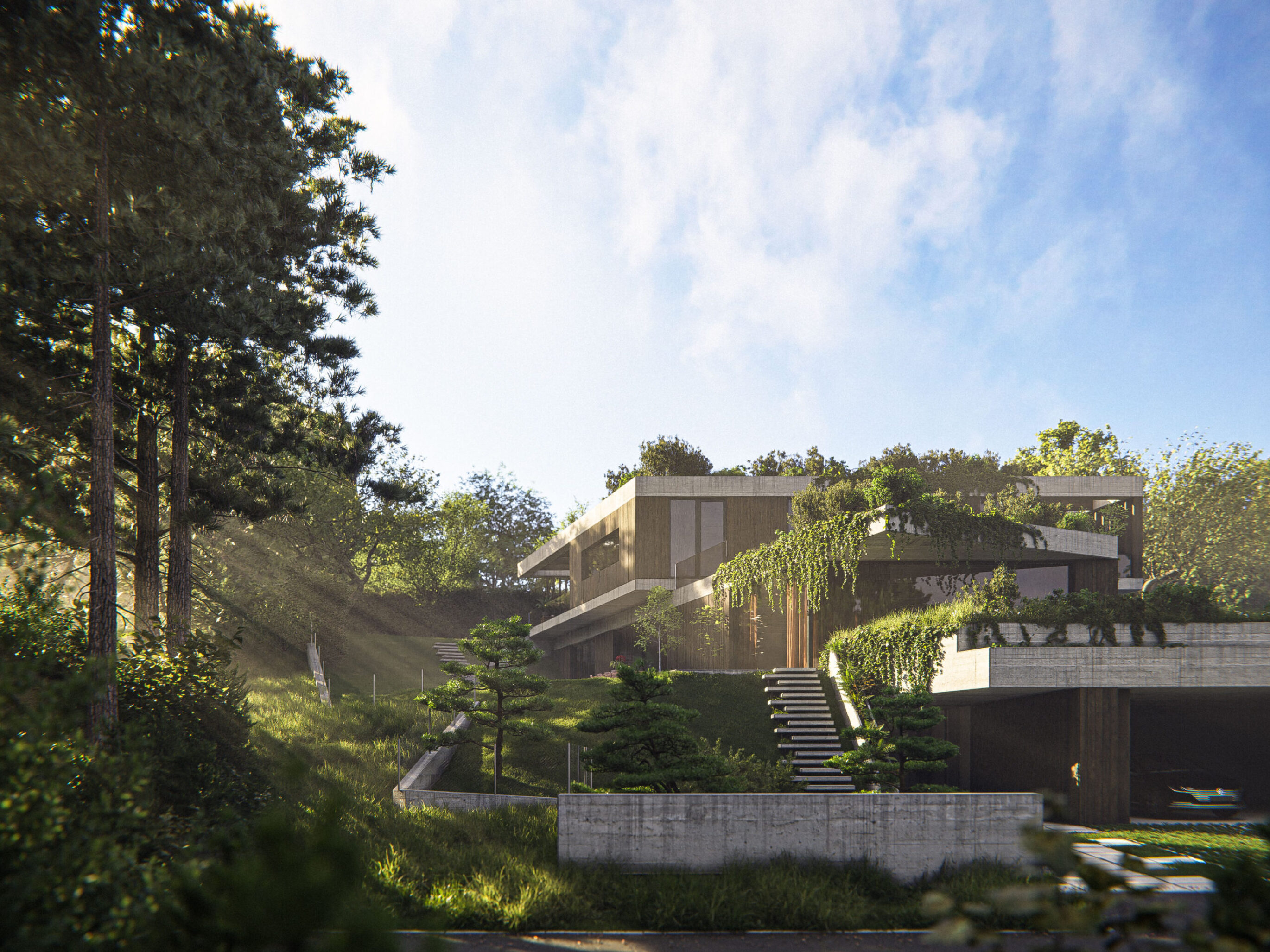 House by the Forest project view