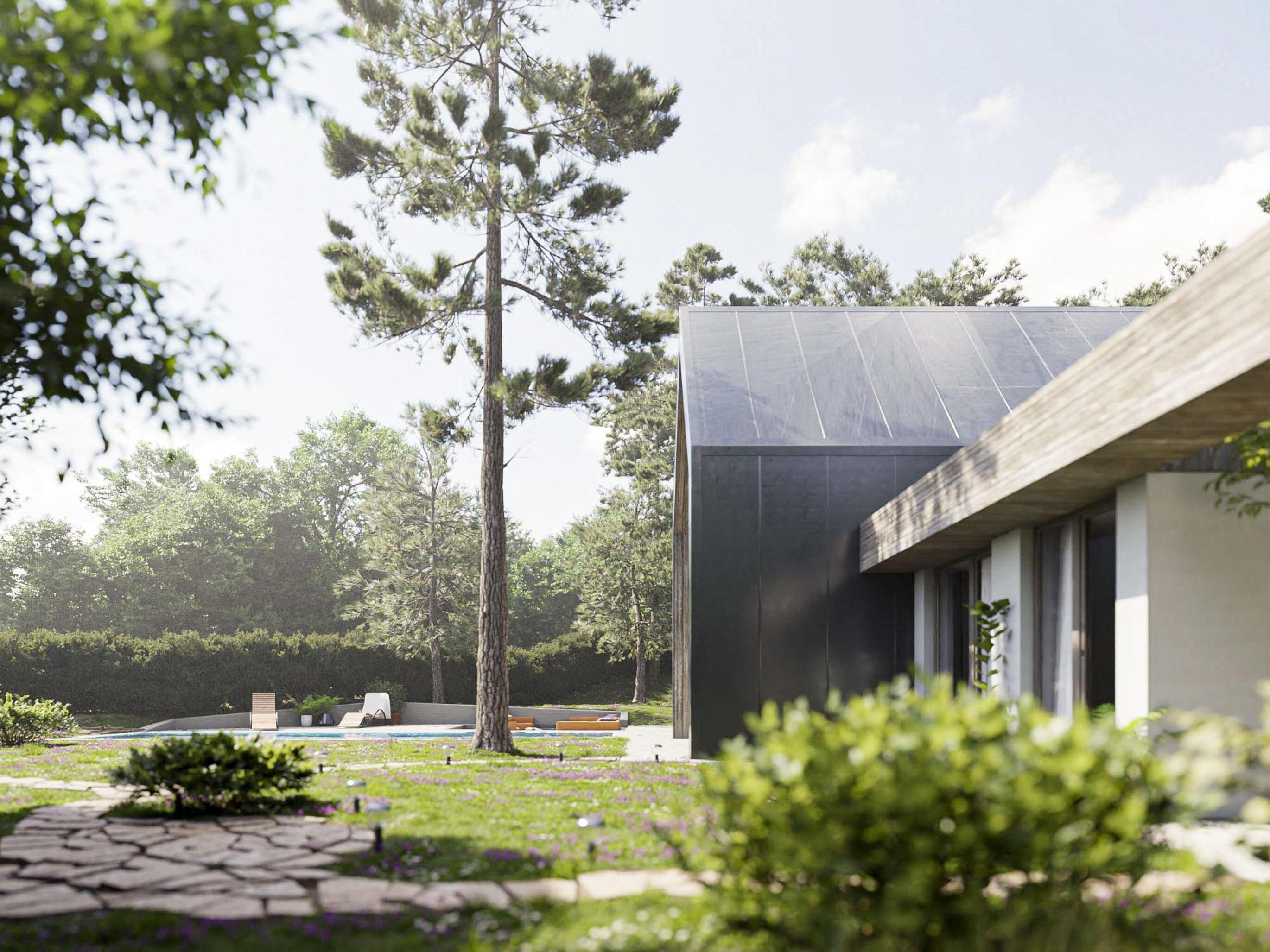 Tree House architectural visualisation