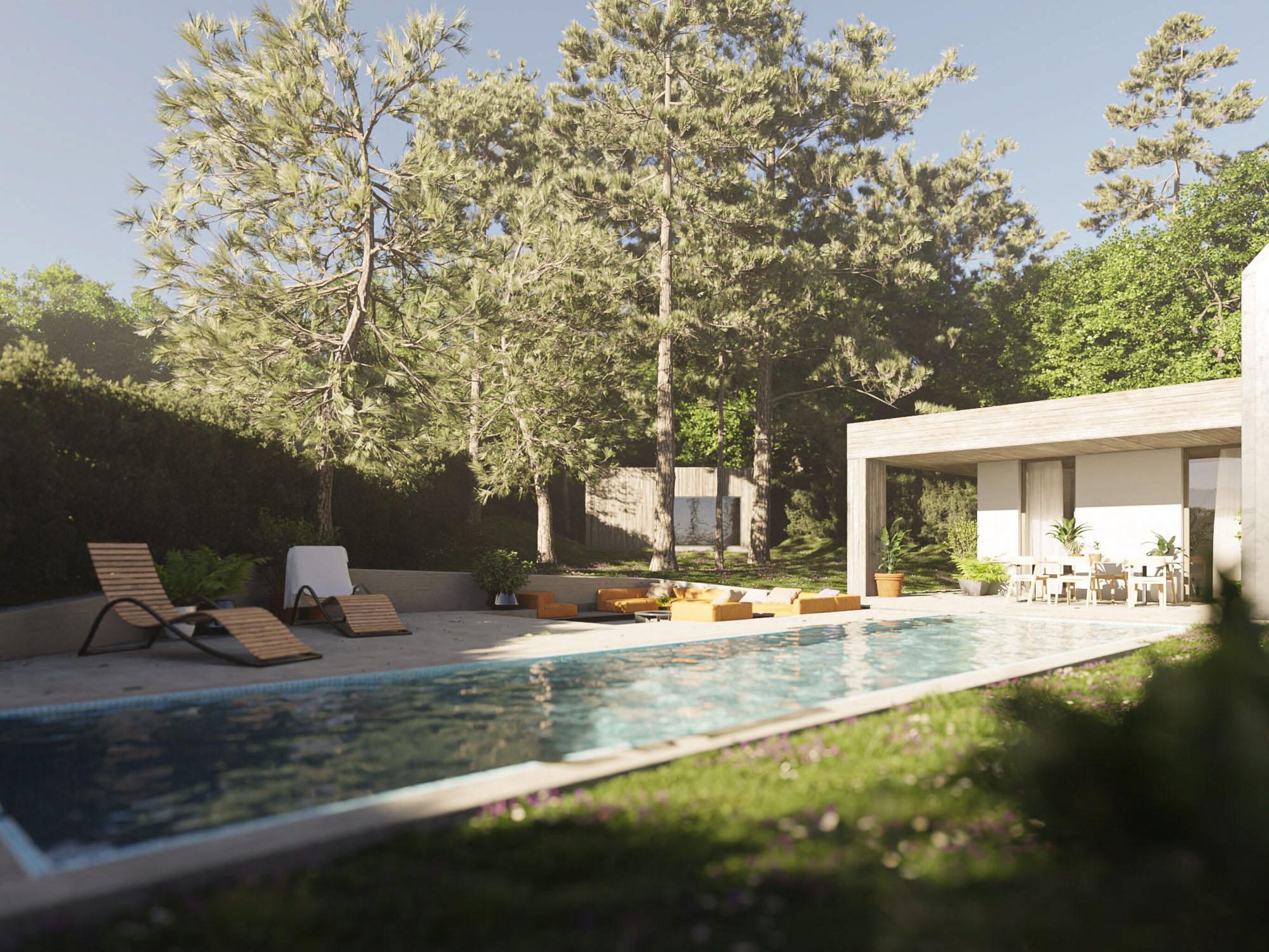 Tree House visual study